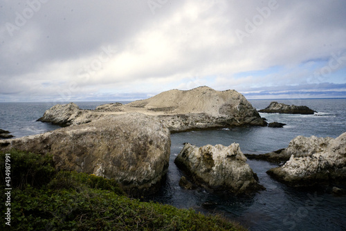 Point Lobos - Cormorant flock on rocks out to Sea