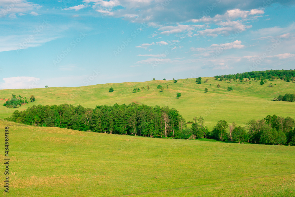 Glade, hills and green forest with blue sky and clouds.
