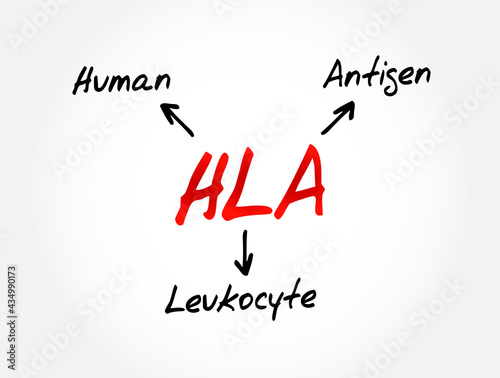 HLA - Human Leukocyte Antigen acronym, medical concept background