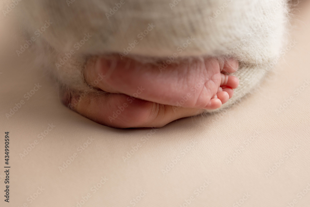 feet of a newborn in fabric. little baby feet. cute fingers feet of a newborn in fabric. little baby feet. cute fingers