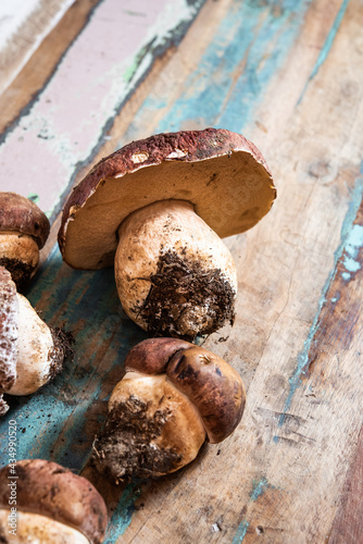 a pile of freshly picked mushrooms of different sizes on a wooden table