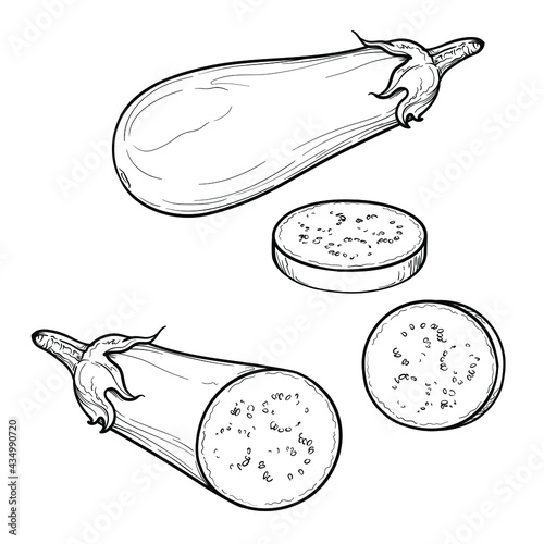 Hand Drawn Eggplant, half a eggplant and a slice. Black and white. Vector illustration, isolated on a white background.