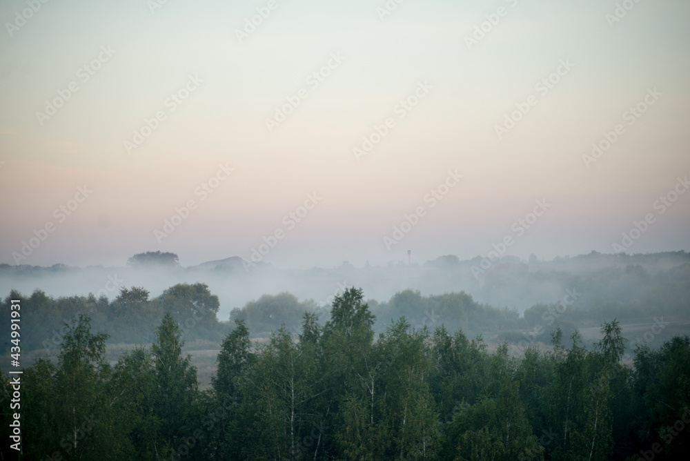 summer field at sunrise with fog