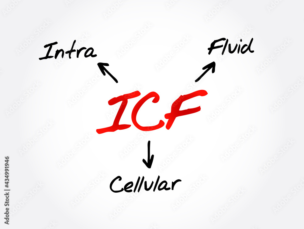 Fototapeta premium ICF - intracellular fluid acronym, medical concept background
