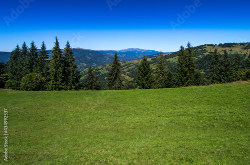 Mountains forest landscape on a sunny day in summer time