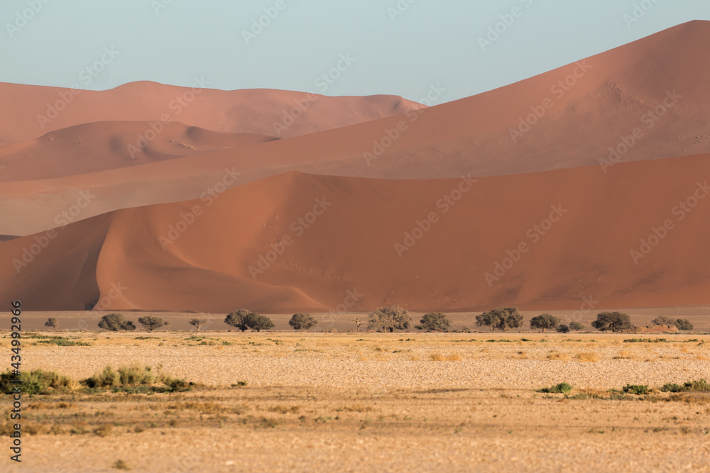 several red sand dune in sossusvlei namibia showing natural contrast