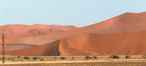 panorama of sossusvlei red dunes showing giving away different depths in namibia