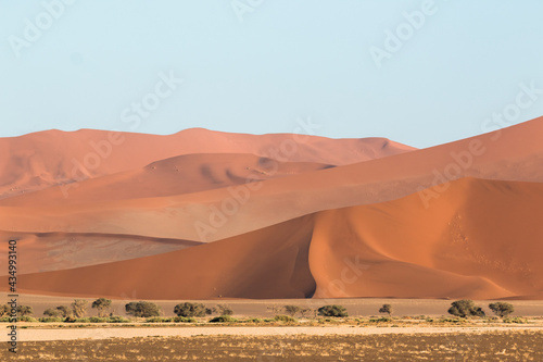 panorama of large red dunes in different depths in namibia showing endless area