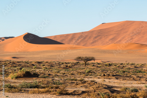 panorama of beautiful sand dunes in namibia sossusvlei