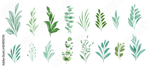 Set of watercolor green leaf illustration - green leaf branches collection, for wedding stationery, greetings, wallpapers, fashion, background. Eucalyptus, olive, green leaves