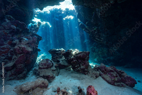 Fototapeta Naklejka Na Ścianę i Meble -  underwater view of a reef