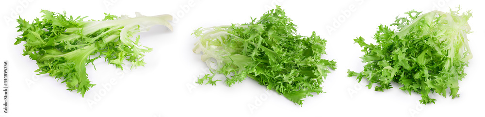 Fresh green leaves of endive frisee chicory salad isolated on white background with full depth of field. Set or collection Fresh green leaves of endive frisee chicory salad isolated on white background with full depth of field. Set or collection