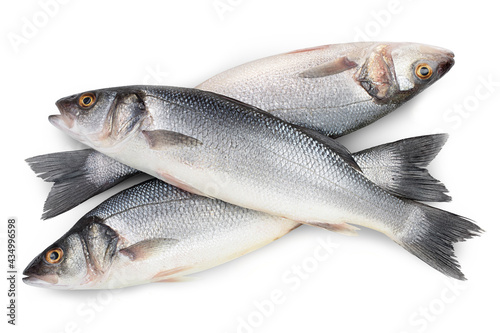 Sea bass fich isolated on white background with clipping path. Top view. Flat lay