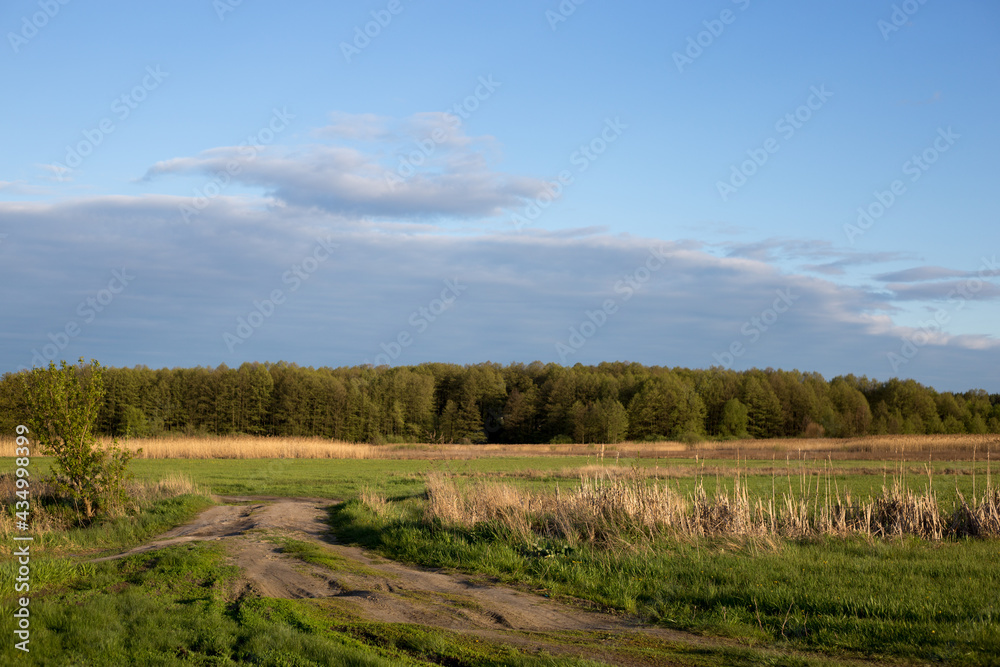 landscape with trees and clouds