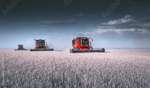 Mechanized harvesting of grain in an agricultural field. A bright, evening, summer panorama with a combine harvester. Idyllic rural background, wallpaper, design. Selective, soft focus. Tinted photo.