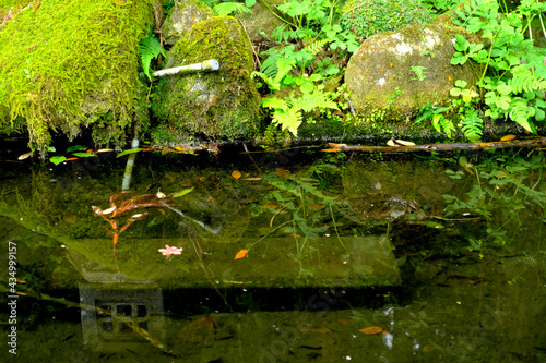 花尾神社の静かな池