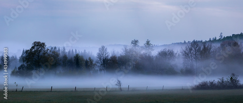 Panorama of field and trees with evening mist. Shot in Sweden, Scandinavia