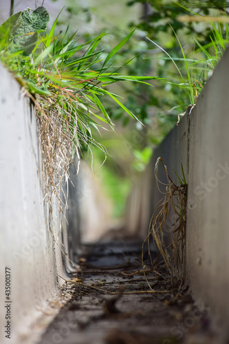 View from a grassy concrete drainage gutter. Shot from a low angle © Serhii