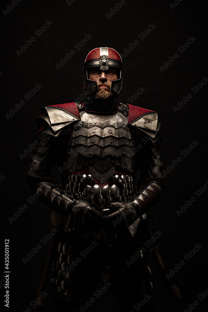 Portrait of a medieval fighter from the front Portrait of a medieval fighter from the front