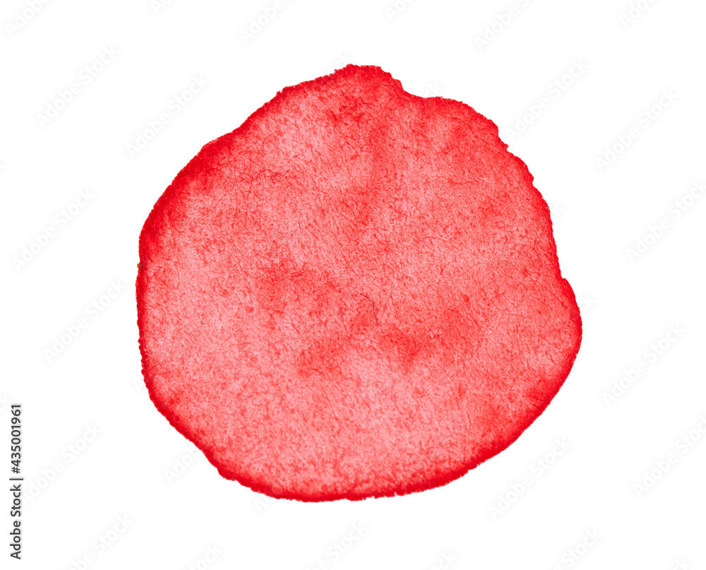 Scarlet or red round spot of watercolor painting. Hand drawn water color blob for paper texture, isolated stain on white background. Wet brush painted smudge abstract.