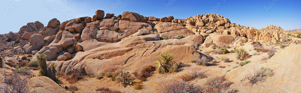Obraz premium Joshua Tree National Park - Panoramic image of rocky desert landscape