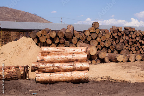 LOG AND SAWMILL OUTLOOK