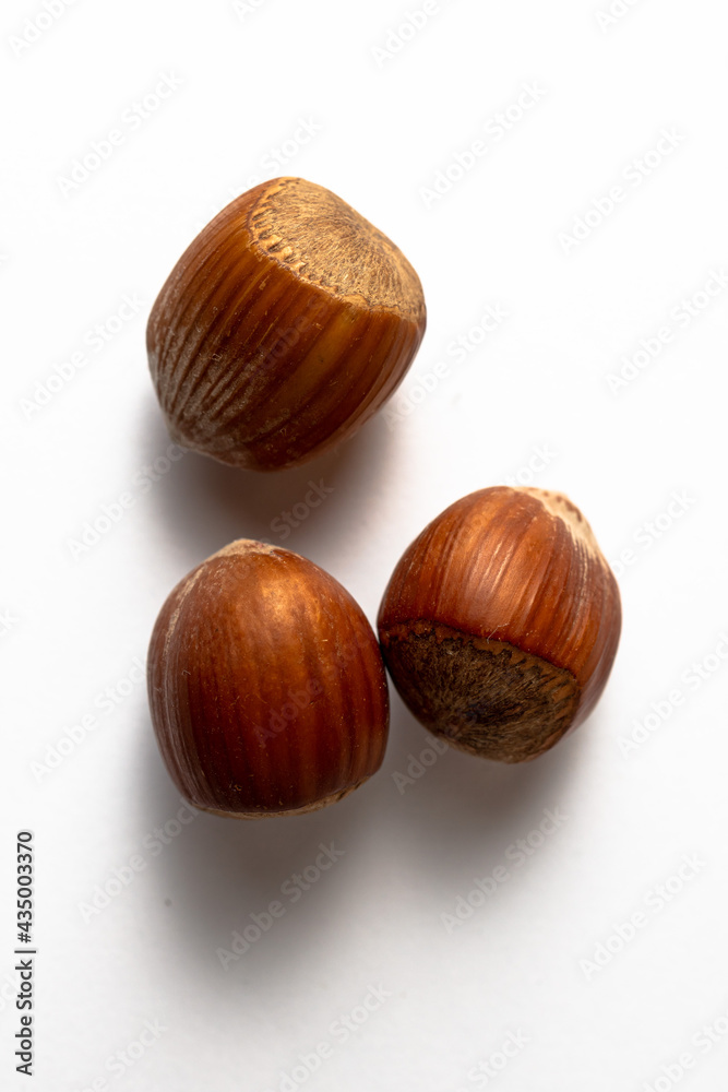Hazelnuts isolated on white background Hazelnuts isolated on white background