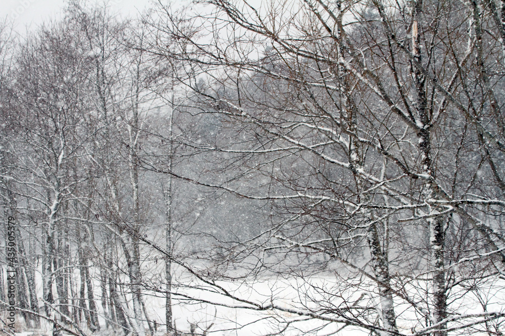 北海道の雪景色２