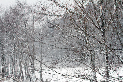 北海道の雪景色２ © aika kanou