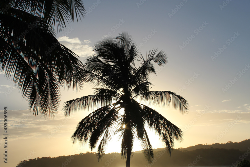 Sunset with palm in Playa Venao. Los Santos. Panamá.