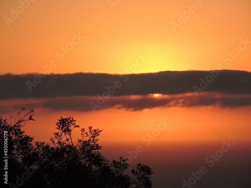 Nubes sol atardecer árbol