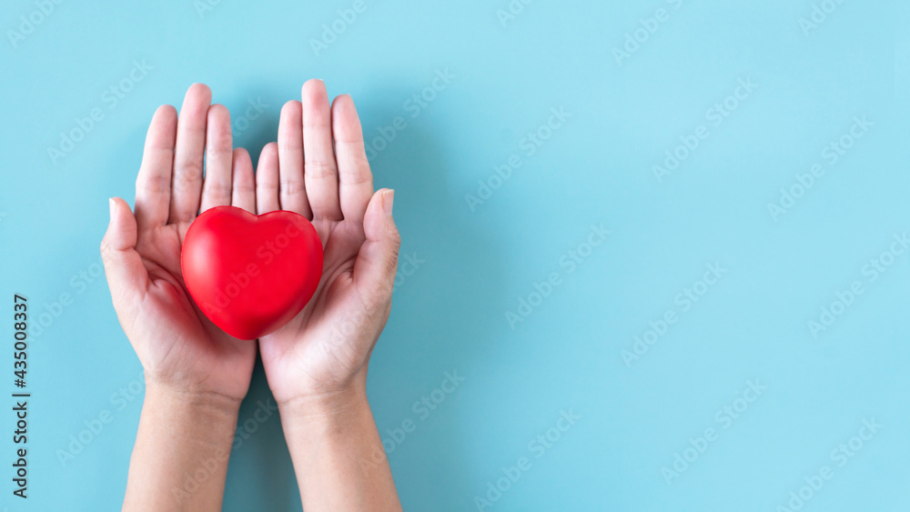 Hands people holding red heart model on blue backgroung,World heart day concept Hands people holding red heart model on blue backgroung,World heart day concept