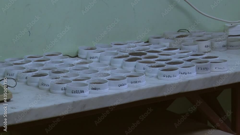 Soil samples for testing in the laboratory.
Analysis of soil samples in laboratory.
