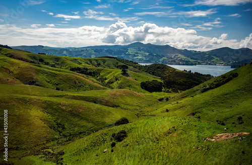 Scenic View of Port Chalmers, New Zealand