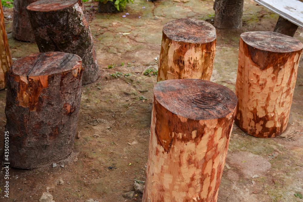 Arrangement for sitting on natural tree trunk . Arrangement for sitting on natural tree trunk .