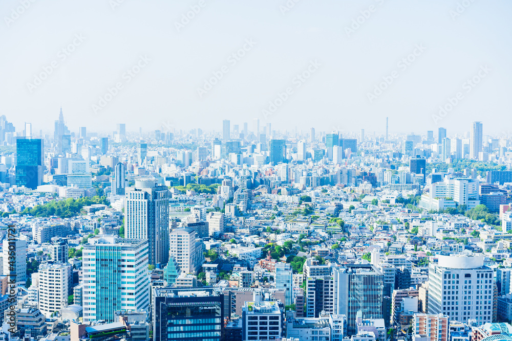 Fototapeta premium 東京風景