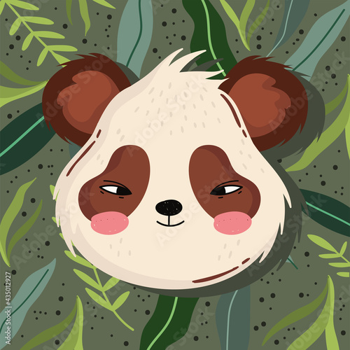 panda face frond