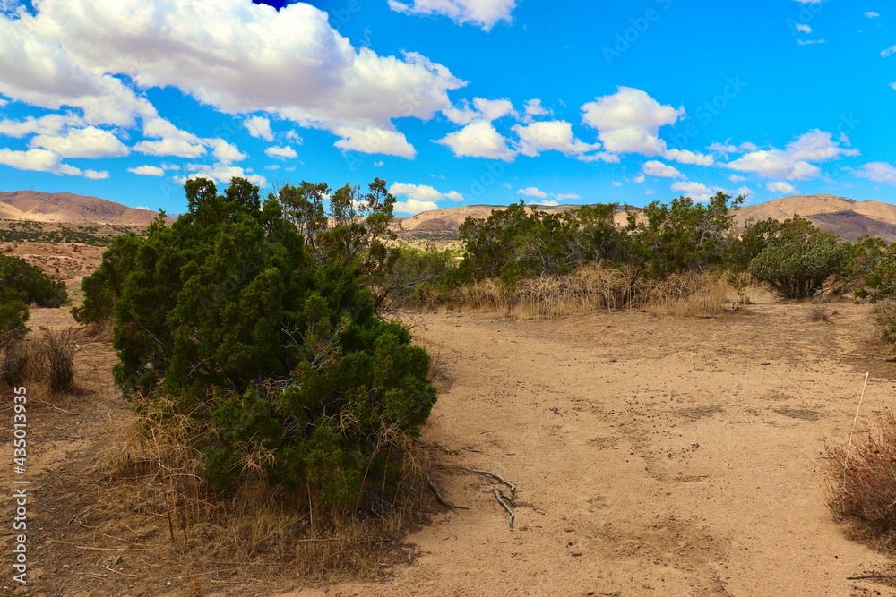 California Desert Landscape with Clouds and Mountain Background California Desert Landscape with Clouds and Mountain Background