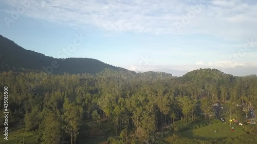 Panocamic View Above Thick Forest With Trees On the morning