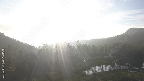 Panocamic View Above Thick Forest With Trees On the morning