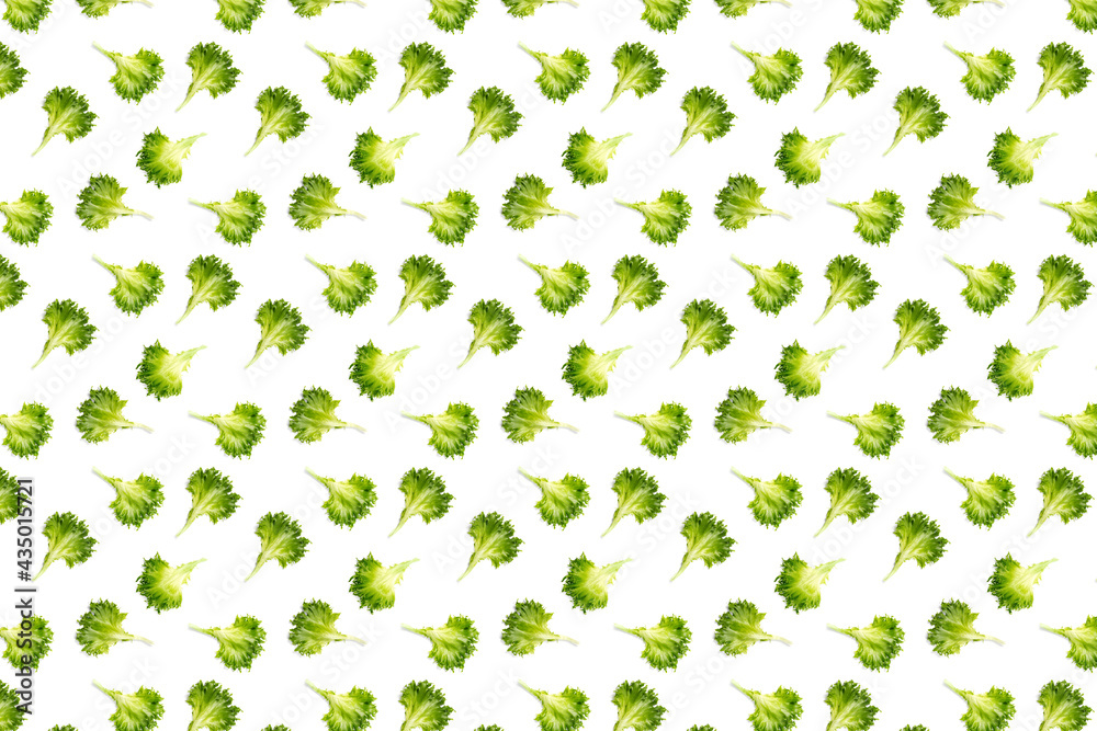 pop art background from lettuce green leaves salad. frillice salad isolated on white. iceberg salad leaf close up, modern background, flat lay. lettuce green leaf not seamless pattern