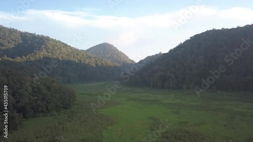 Panocamic View Above Thick Forest With Trees On the morning
