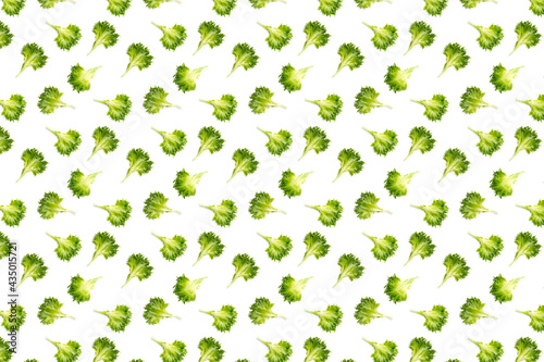 pop art background from lettuce green leaves salad. frillice salad isolated on white. iceberg salad leaf close up  modern background  flat lay. lettuce green leaf not seamless pattern