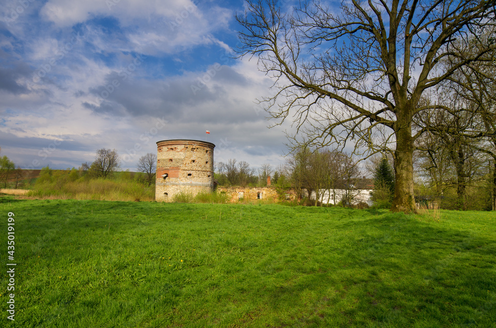 castle ruins in pruchnik, poland