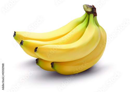 banana on white background vector realistic