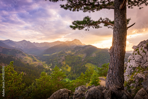Fototapeta Naklejka Na Ścianę i Meble -  Zachód słońca nad Tatrami podziwiany z Nosala. Zakopane - Kalatówki, Dolina Bystrej