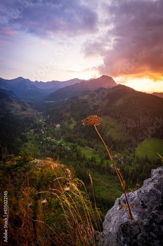 Fototapeta Naklejka Na Ścianę i Meble -  Zachód słońca nad Tatrami podziwiany z Nosala. Zakopane - Kalatówki, Dolina Bystrej