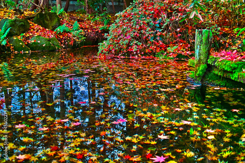 紅葉に染まる秋の日本庭園（福島県） 