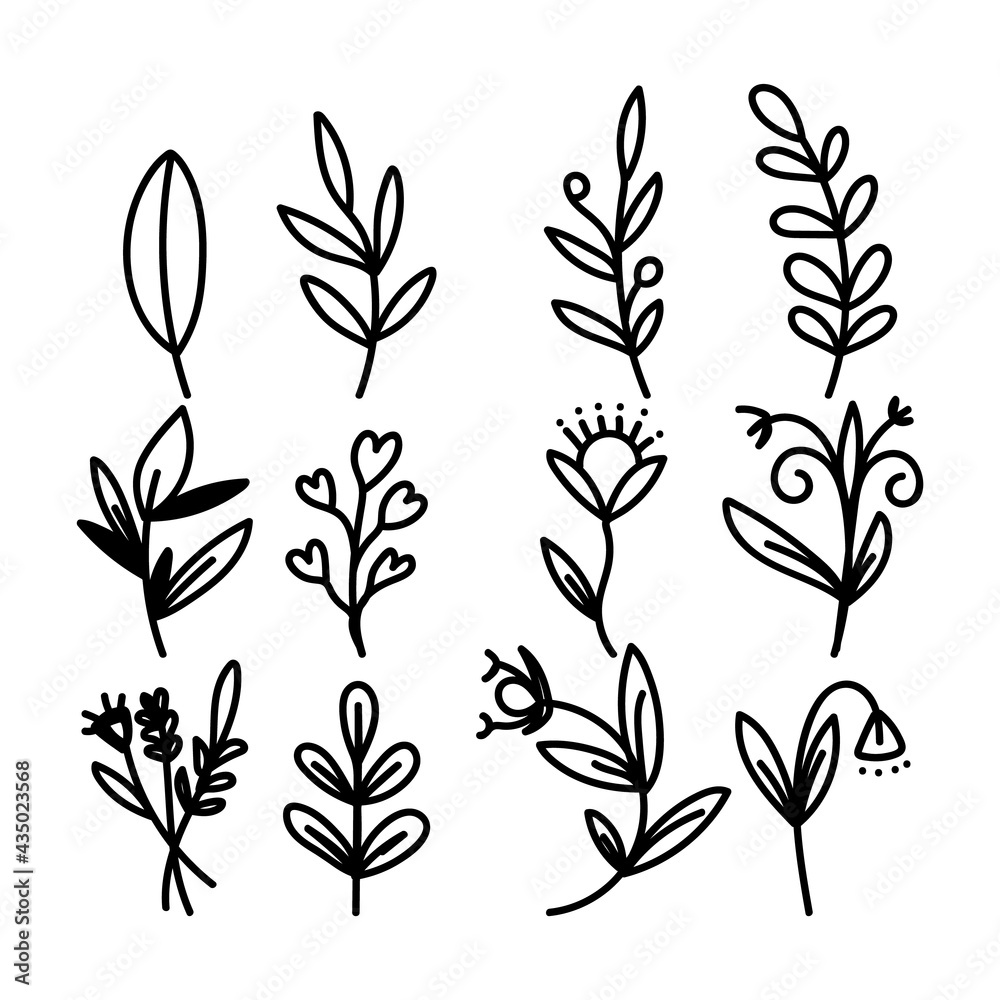 Hand painted flowers and leaves vector isolated on white background , Vector Illustration EPS 10 