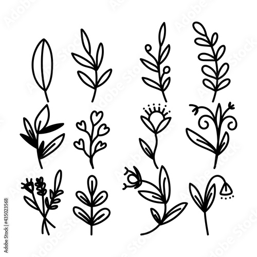 Hand painted flowers and leaves vector isolated on white background , Vector Illustration EPS 10 